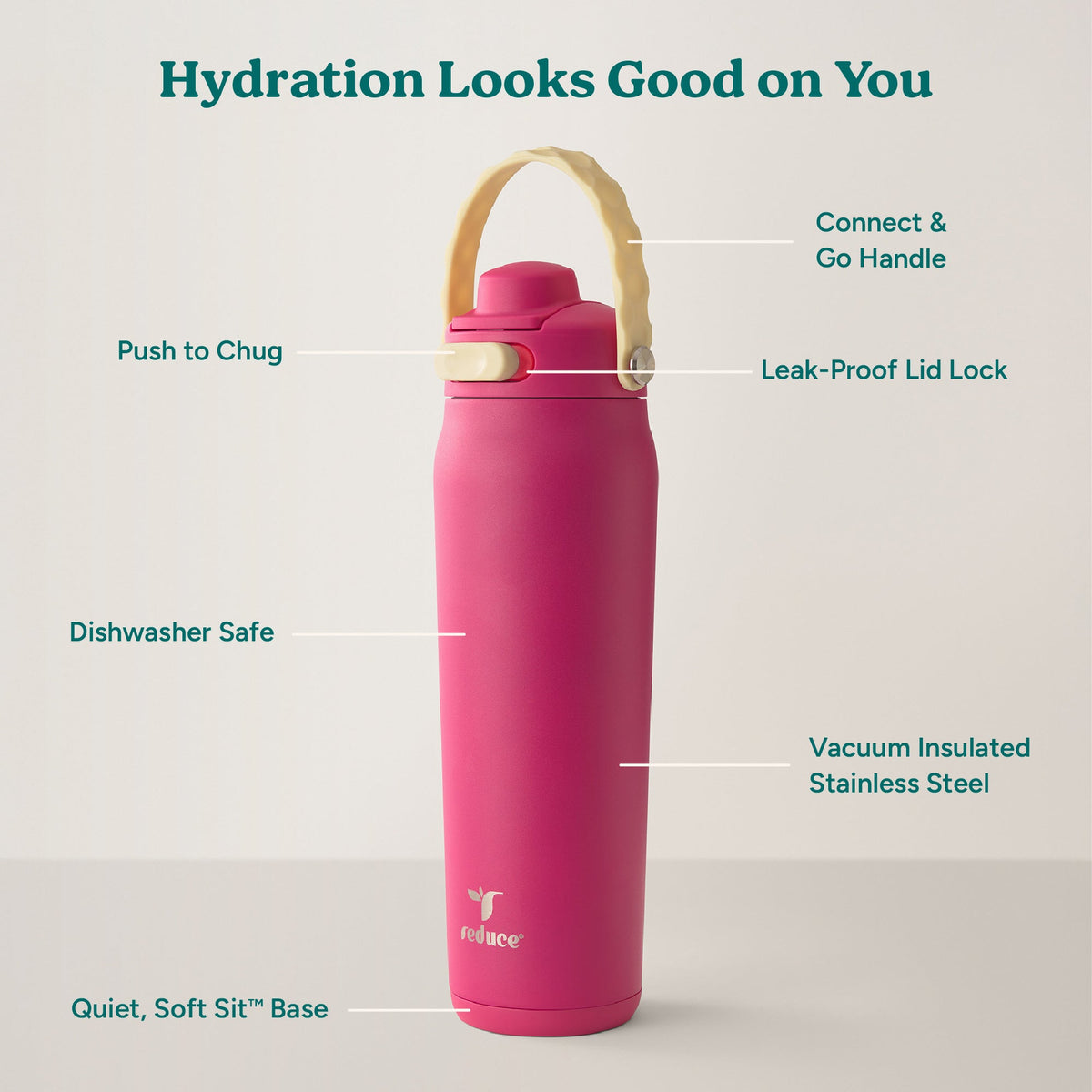 aura-26-oz-q9 Aura_26oz_DragonFruit_PDP_Infographic_2-03.jpg