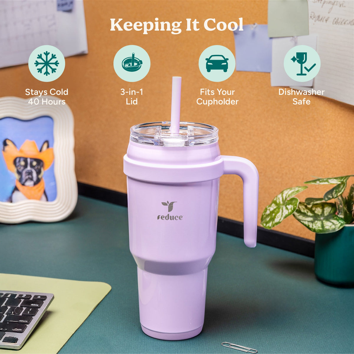 cold1-40-oz-u1 Cold1_40oz_LilacBud_Infographic_1.jpg