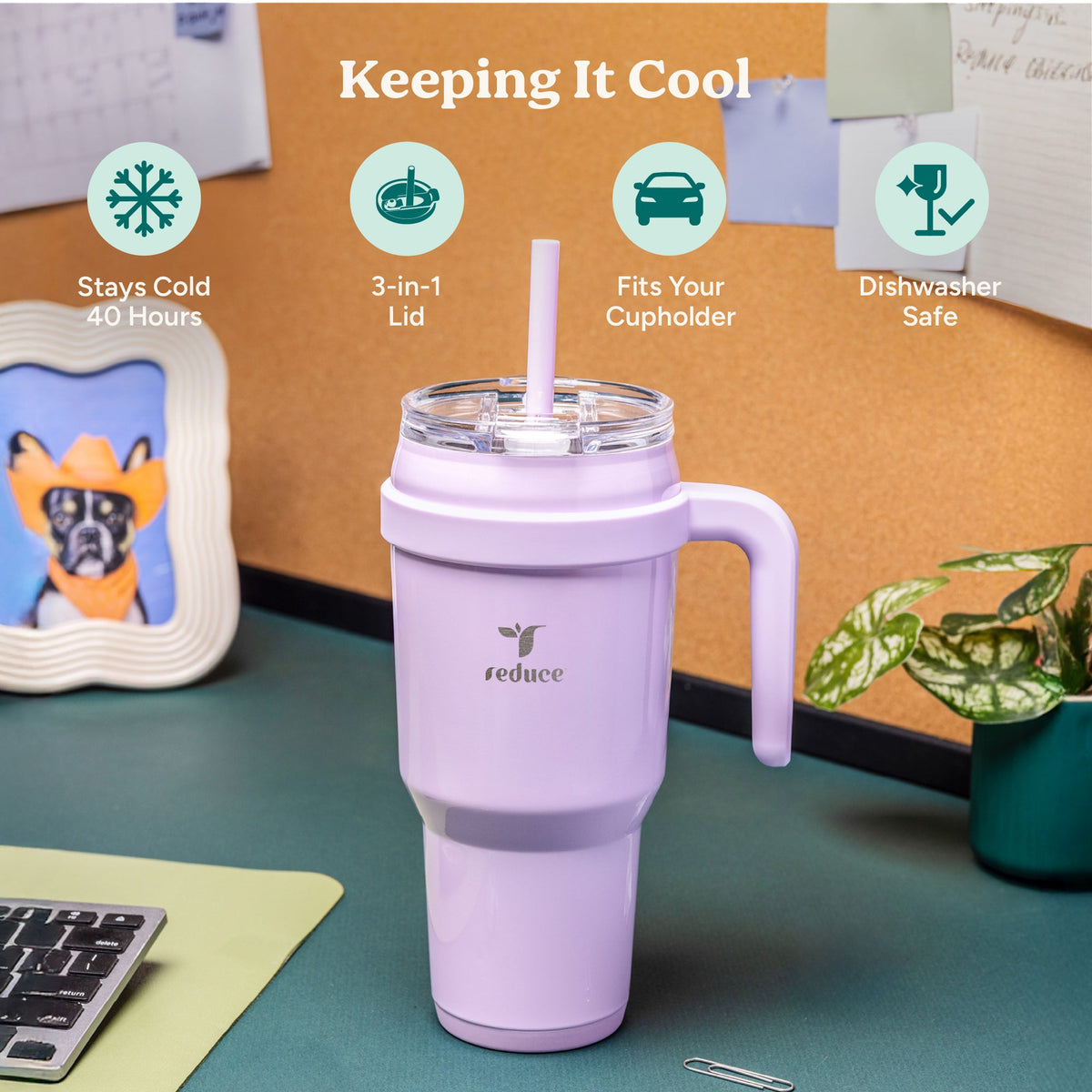 cold1-40-oz-u1 Cold1_40oz_PalmLeaf_Infographic_1.jpg