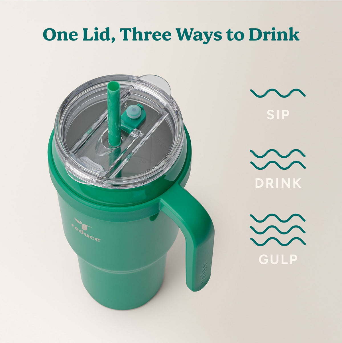 cold1-40-oz-u1 Cold1_40oz_PalmLeaf_Infographic_3.jpg
